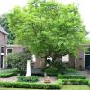 Bewoond Bewaard